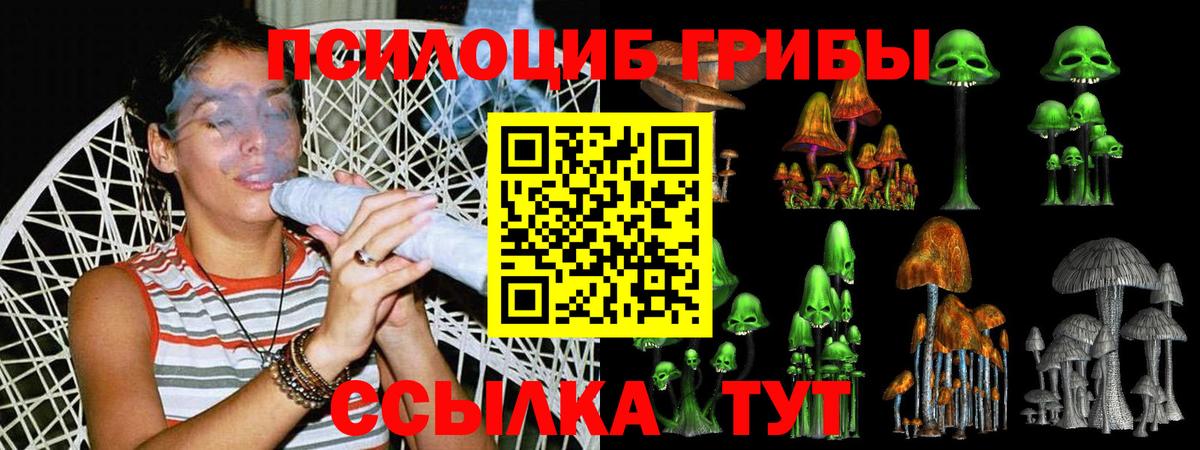 Псилоцибиновые грибы мухоморы  Псилоцибиновые грибы Psilocybe  Вход с VPN  Сыктывкар 