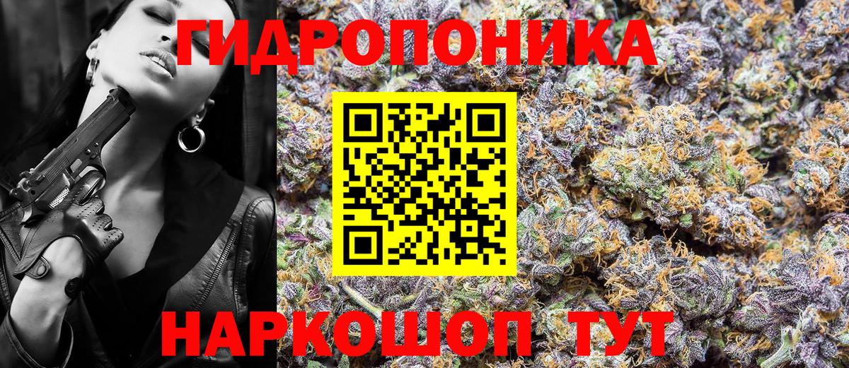 Бошки марихуана Ganja Сыктывкар